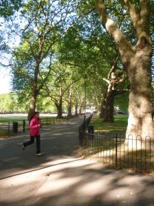 Highbury Fields (c) Islington Faces